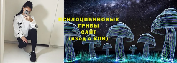Альфа ПВП Володарск