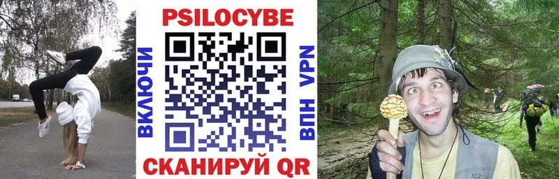 Галлюциногенные грибы Psilocybe дарк нет Telegram Керчь