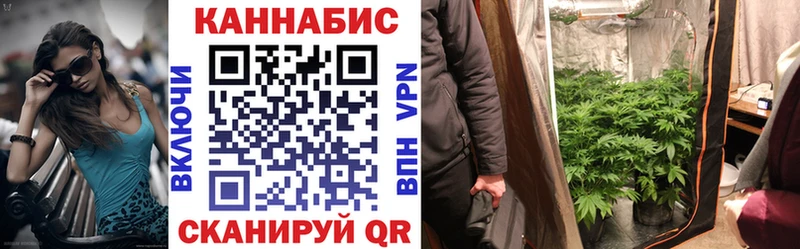 Шишки марихуана индика наркотики дарк нет наркотические препараты Керчь
